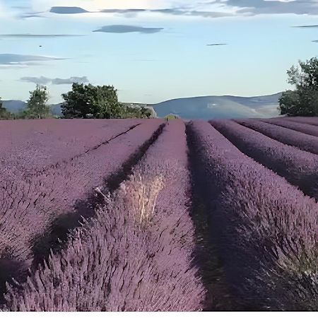 Bastide La Fondue Appartement Allemagne-en-Provence Buitenkant foto