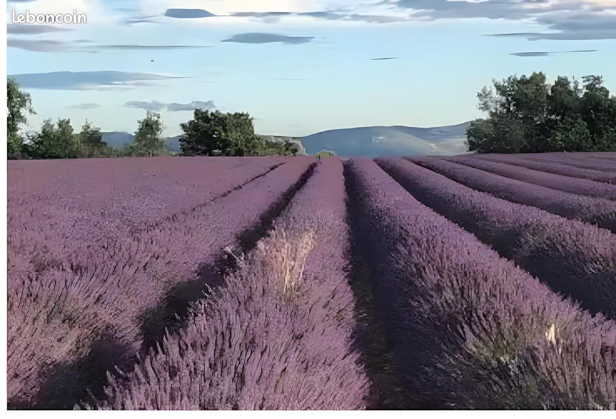 Bastide La Fondue Appartement Allemagne-en-Provence Buitenkant foto