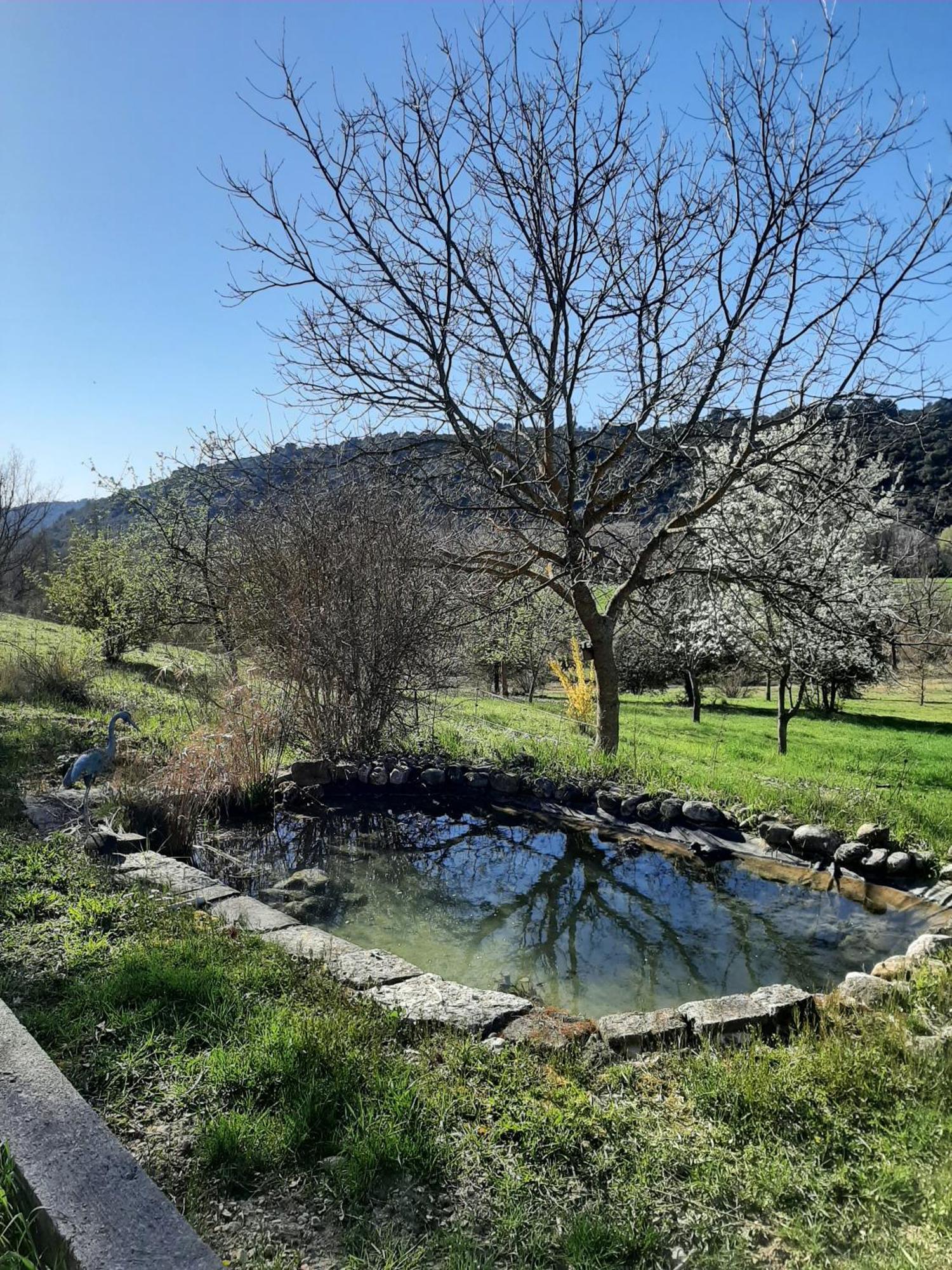 Bastide La Fondue Appartement Allemagne-en-Provence Buitenkant foto
